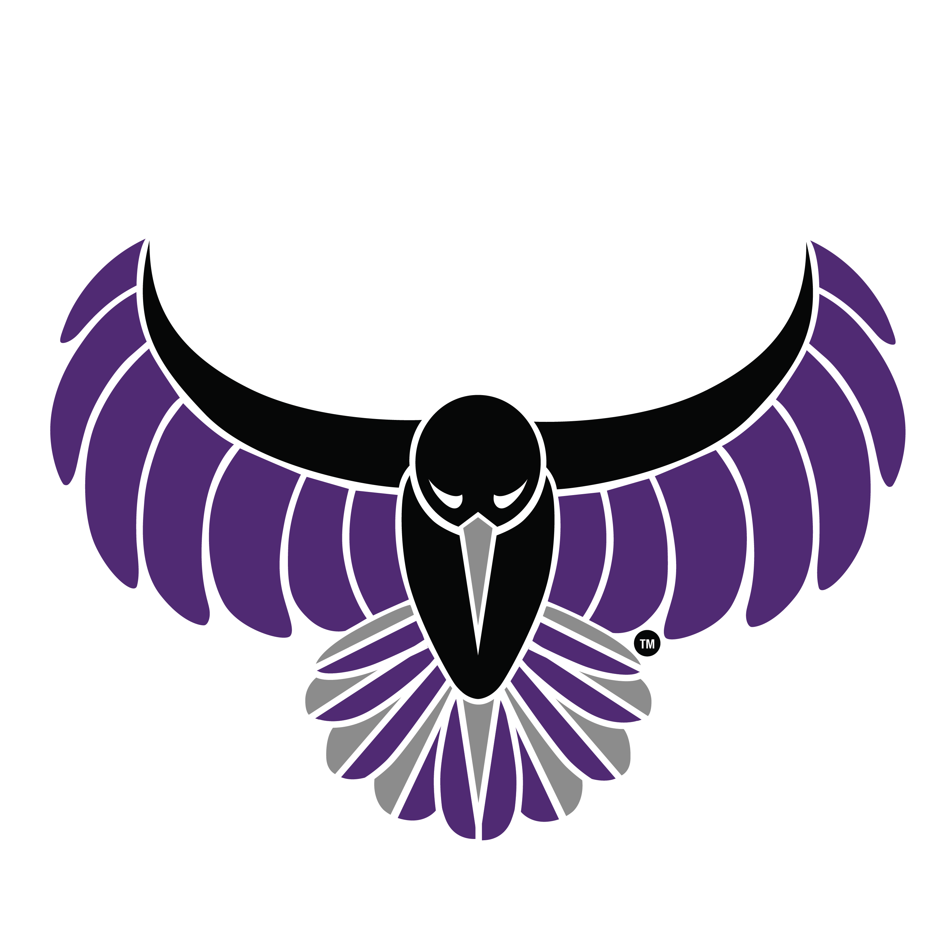 SabreWing registered trademark bird logo with outstretched wings